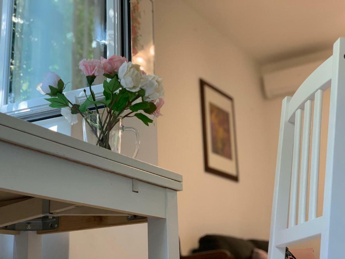 Flowers In Apartamento